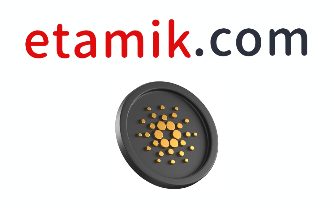 etamik.com